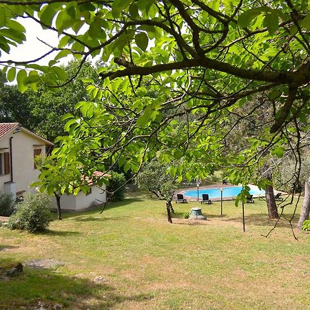 Villa Scappo In Umbria, La Casa Nel Bosco Amelia Esterno foto