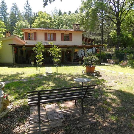 Villa Scappo In Umbria, La Casa Nel Bosco Amelia Esterno foto